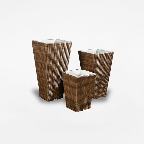 The Sons of the Lodestar - Image 3